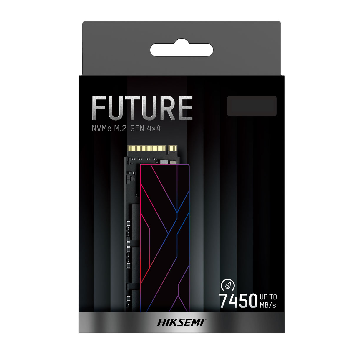 SSD INT NVME FUTURE LITE 1024G