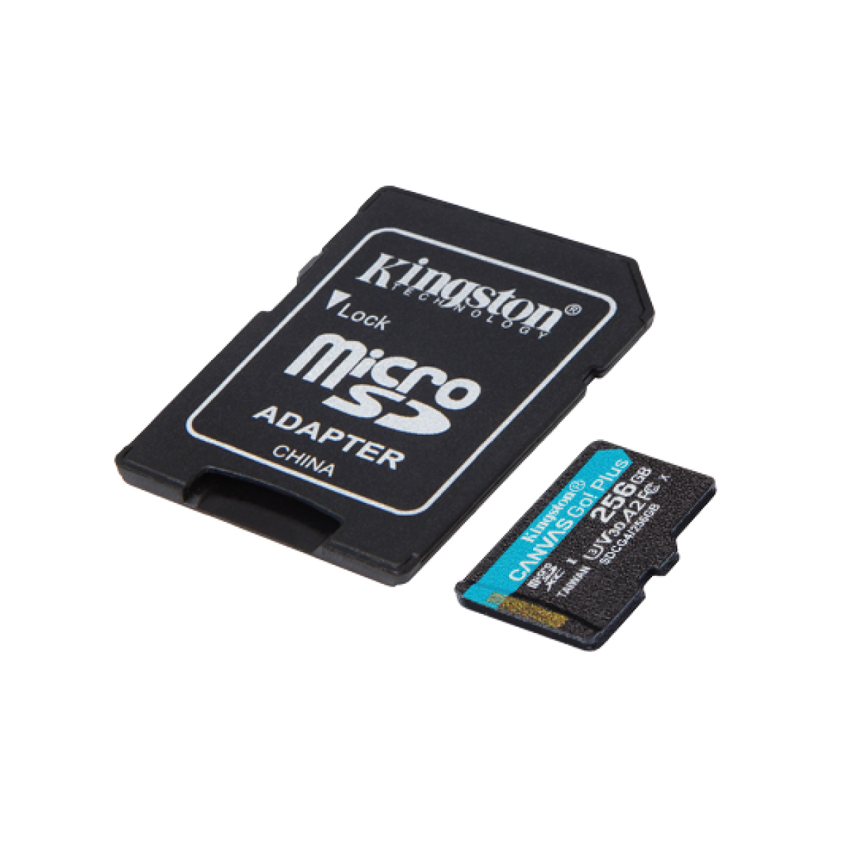 MICROSD 256GB CANVAS GO PLUS G
