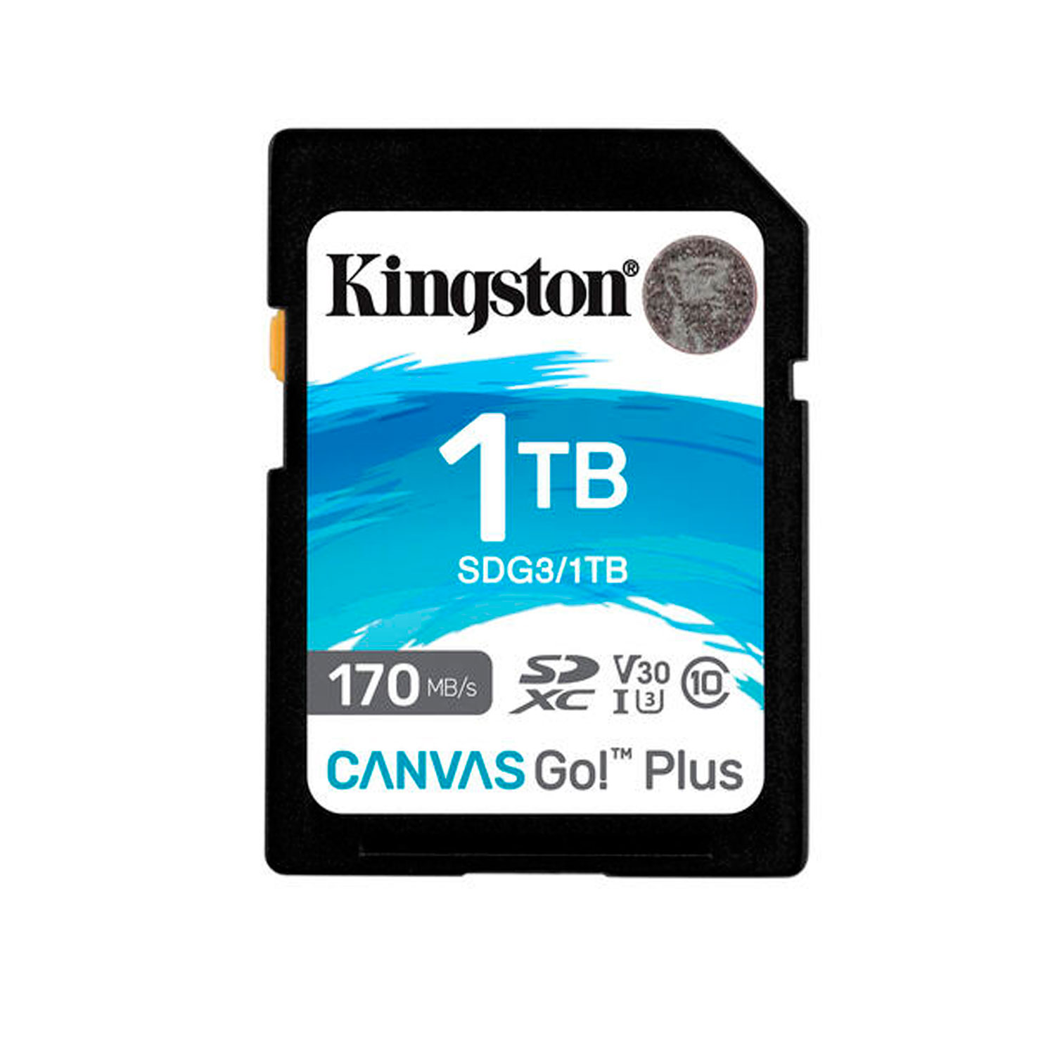 SD 1TB CANVAS GO PLUS G4