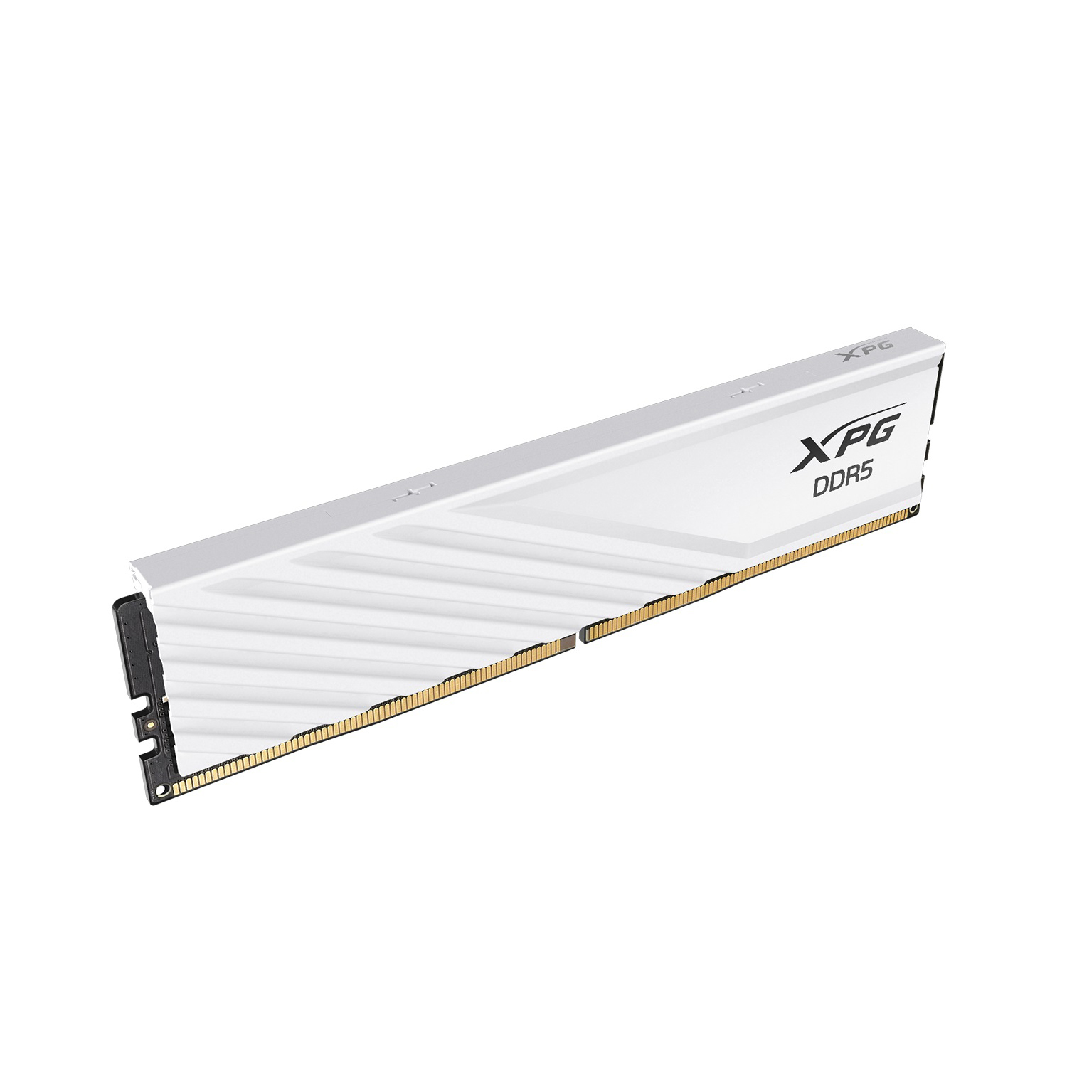16 GB XPG DDR5 de 5600 Mhz Lancer White